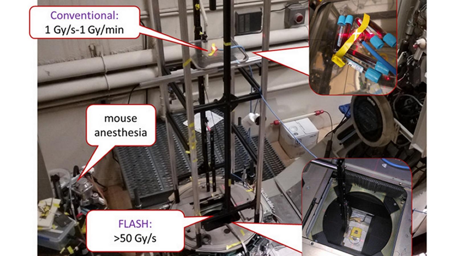 Staging for small animals at the Varian Clinac